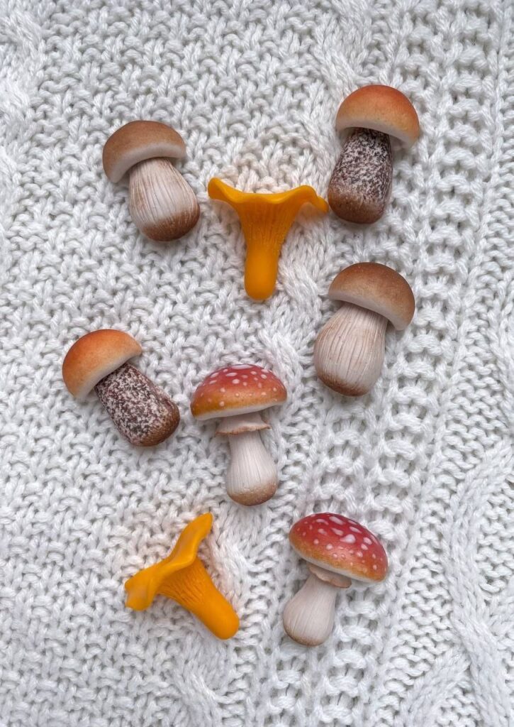 Із полімерної глини мукачівка створює гриби, квіти, виноград