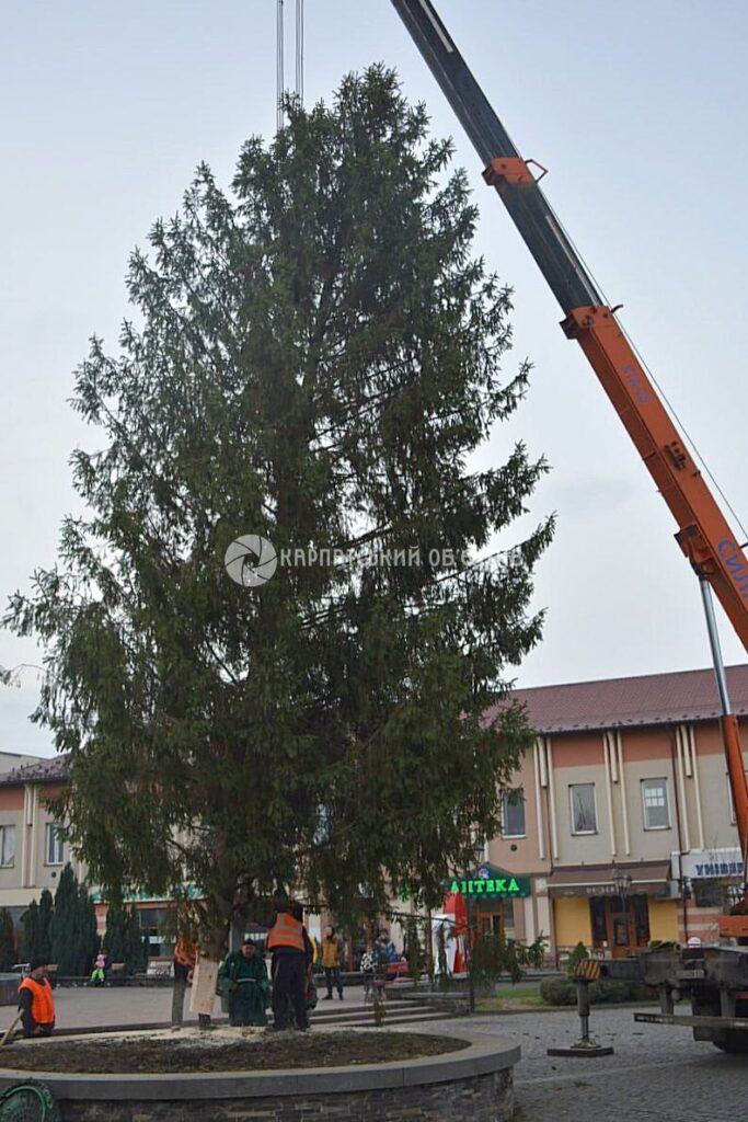 У Хусті встановили ялинку. Урочистостей не буде